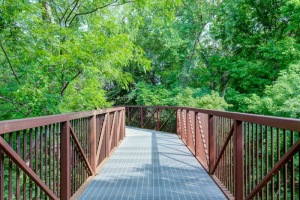 trail in the woods near Legacy at Cibolo